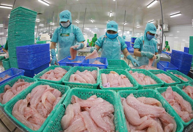 2022年出口额达20亿美元以上的农林水产品共有8种,分别是咖啡、橡胶、大米、蔬果、腰果、虾类、查鱼、木制品。(图片来源:越通社) 2022年出口额达20亿美元以上的农林水产品共有8种,分别是咖啡、橡胶、大米、蔬果、腰果、虾类、查鱼、木制品。(图片来源:越通社)