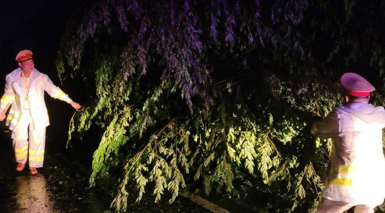 职能力量开展全省重点道路倒树清理活动。