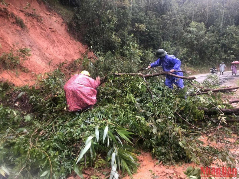 大雨伴随强风也导致多处树木倒塌，多条道路发生山体滑坡。