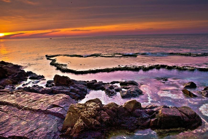 走进主山世界生物圈保护区,领略自然之美(组图) ảnh 4 走进主山世界生物圈保护区,领略自然之美(组图) ảnh 4