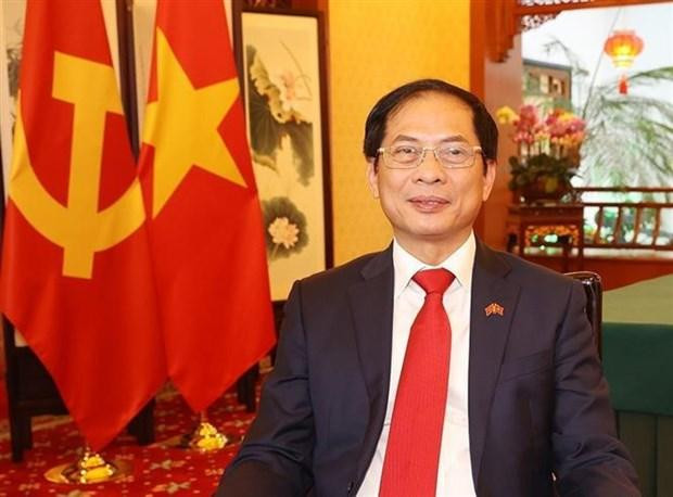 越南外交部长裴青山。(图片来源:越通社) 越南外交部长裴青山。(图片来源:越通社)