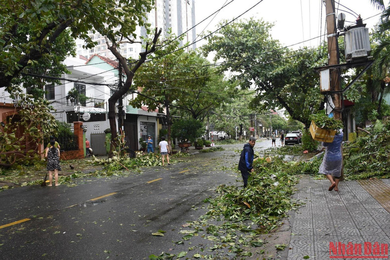 暴风雨过后，岘港市人民在打扫卫生。