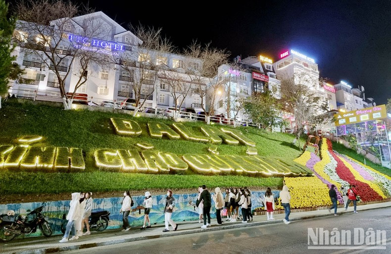 大叻花节期间的圣诞节。