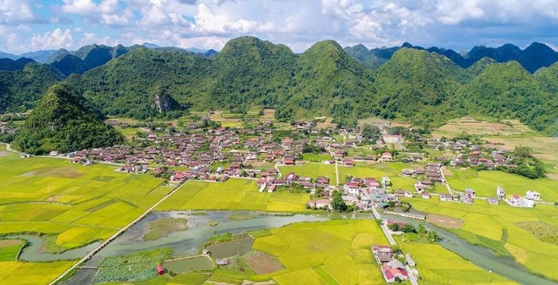 沿着丙一号国道行驶,距离和内160公里,属谅山省北山县的北山镇坐落在山谷里,它被一座一座岩石山拥抱在怀里。北山稻谷的“金季”一般在7月末和11月。 沿着丙一号国道行驶,距离和内160公里,属谅山省北山县的北山镇坐落在山谷里,它被一座一座岩石山拥抱在怀里。北山稻谷的“金季”一般在7月末和11月。