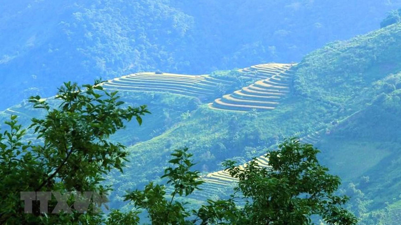 金色的秋日阳光洒落,让西北山林间的梯田更加熠熠生辉,充满奇思妙想。 金色的秋日阳光洒落,让西北山林间的梯田更加熠熠生辉,充满奇思妙想。