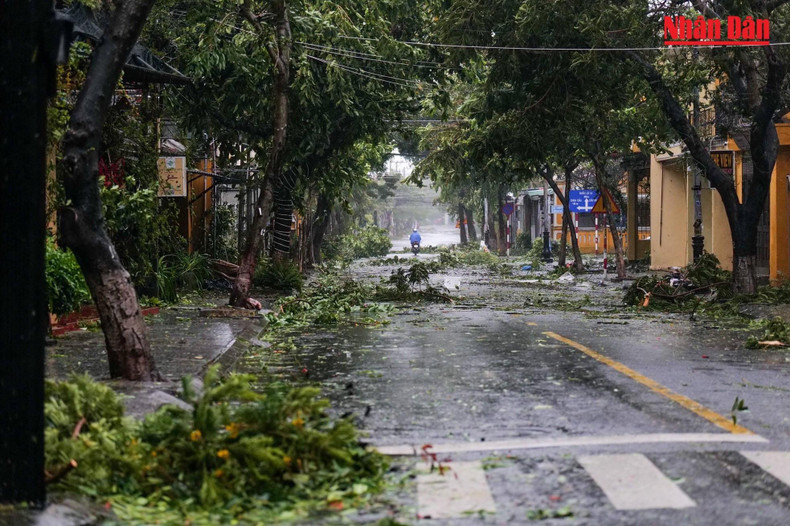 第4号台风登陆中部并伴随着强降雨。 第4号台风登陆中部并伴随着强降雨。