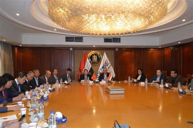 越南国会副主席阮德海访问埃及 ảnh 2 越南国会副主席阮德海访问埃及 ảnh 2