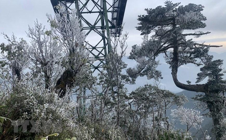 老街省番西邦峰顶出现雾凇景观【组图】 ảnh 2 老街省番西邦峰顶出现雾凇景观【组图】 ảnh 2