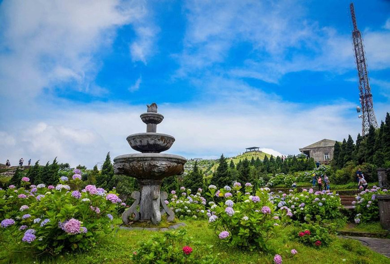 绣球花喜欢温暖、湿润的环境,平时要保证足够的光照,但是在中午阳光太强时也要做好遮阳工作。平时也要保持盆土的湿润,夏季温度高要经常浇水,雨季时也要及时排水,避免积水导致烂根。 绣球花喜欢温暖、湿润的环境,平时要保证足够的光照,但是在中午阳光太强时也要做好遮阳工作。平时也要保持盆土的湿润,夏季温度高要经常浇水,雨季时也要及时排水,避免积水导致烂根。