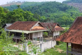 在当今钢筋混凝土建筑日益普及的时代，难能可贵的是，当地泰族群众仍坚持使用木材兴建新的高脚屋，而非改建为现代砖混房屋。（图片来源：越通社）