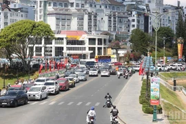 2026年丙午春节九天期间，林同省共接待游客约92.5万人次，同比增长32%，旅游收入约达1.85万亿越盾。