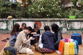 游客们回乡体验越南文化。