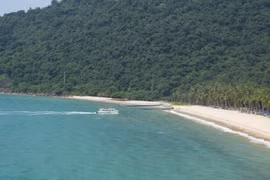 占婆岛 – 东海中的“绿珠” 。（图片来源：越通社）