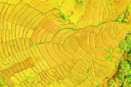 广义省西部山区拥有丰富的自然景观资源，适宜发展体验式旅游。