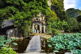 碧洞寺的一角。（图片来源：越通社）