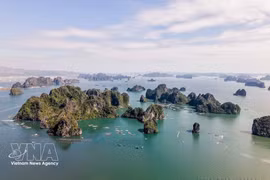 附图。