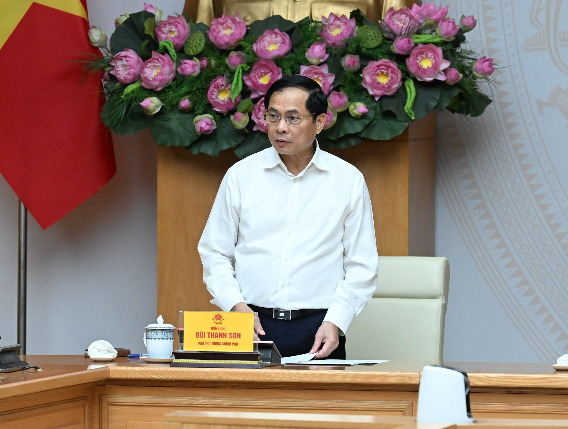 越南政府副总理兼外交部部长裴青山发表讲话。