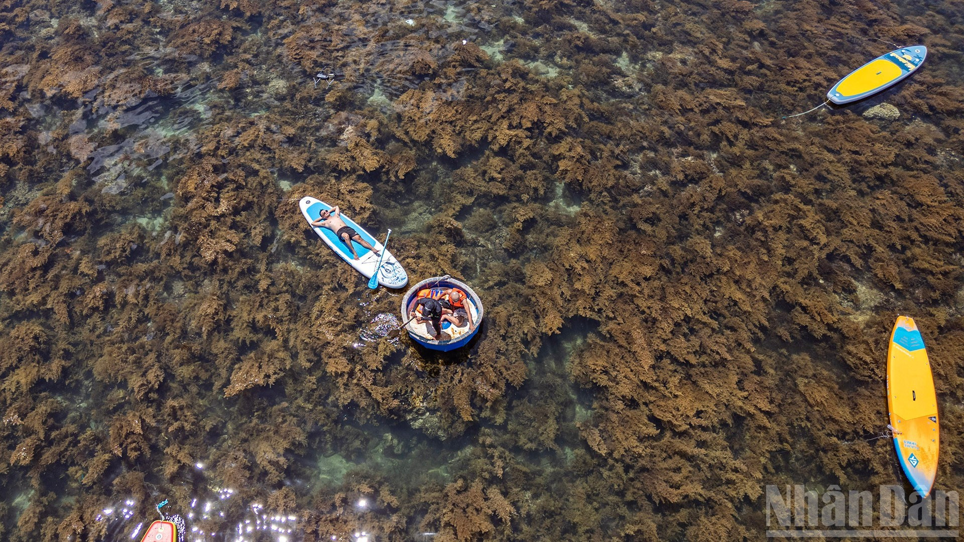 游客欣赏大自然之美。