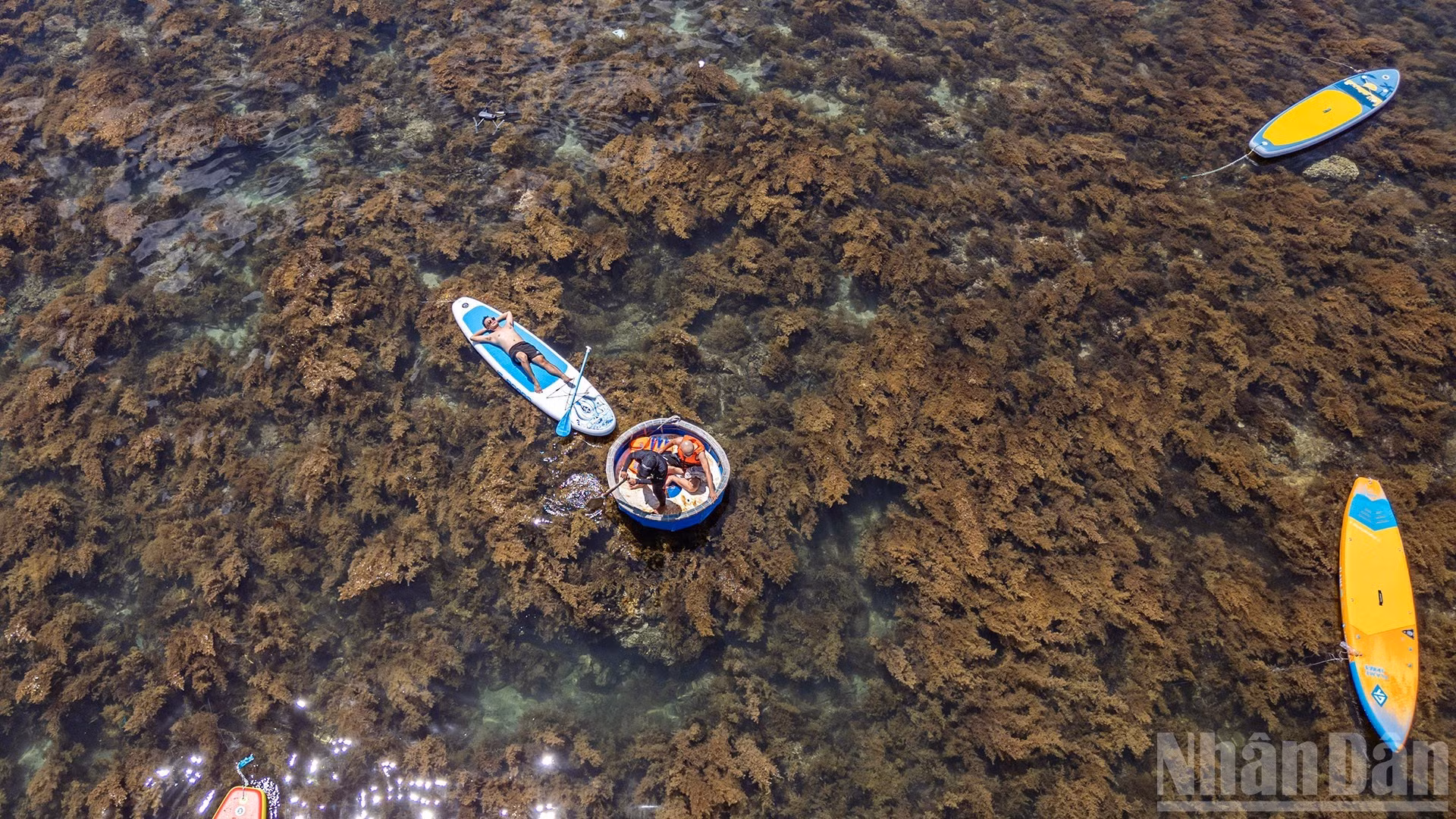 游客欣赏大自然之美。