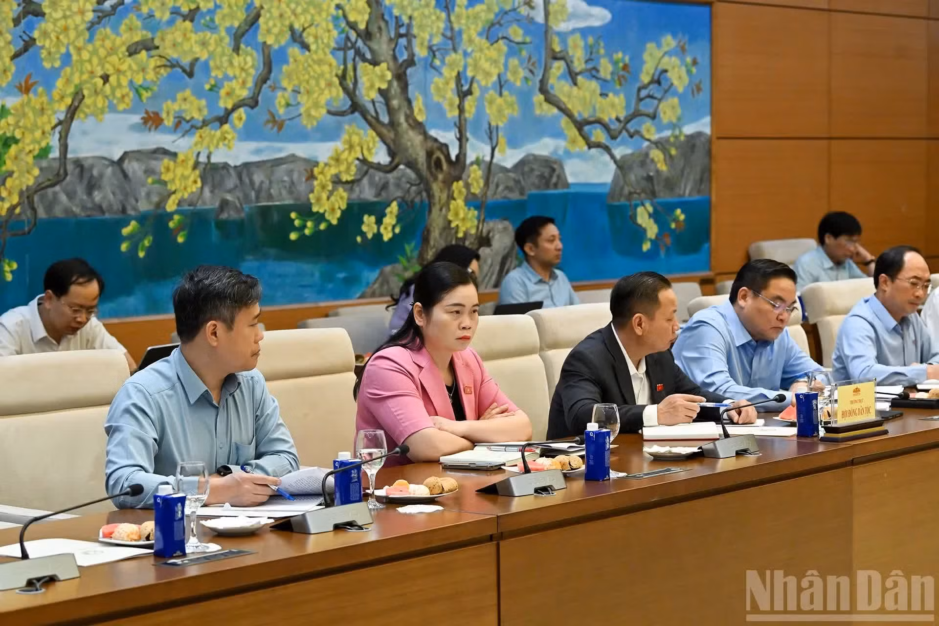 民族委员会常务机构代表发表讲话。