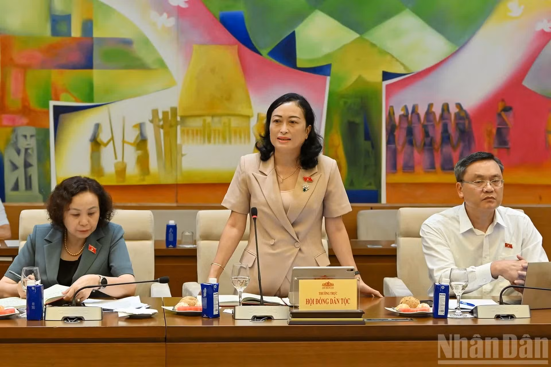 民族委员会副主席陈氏花丽发表讲话。