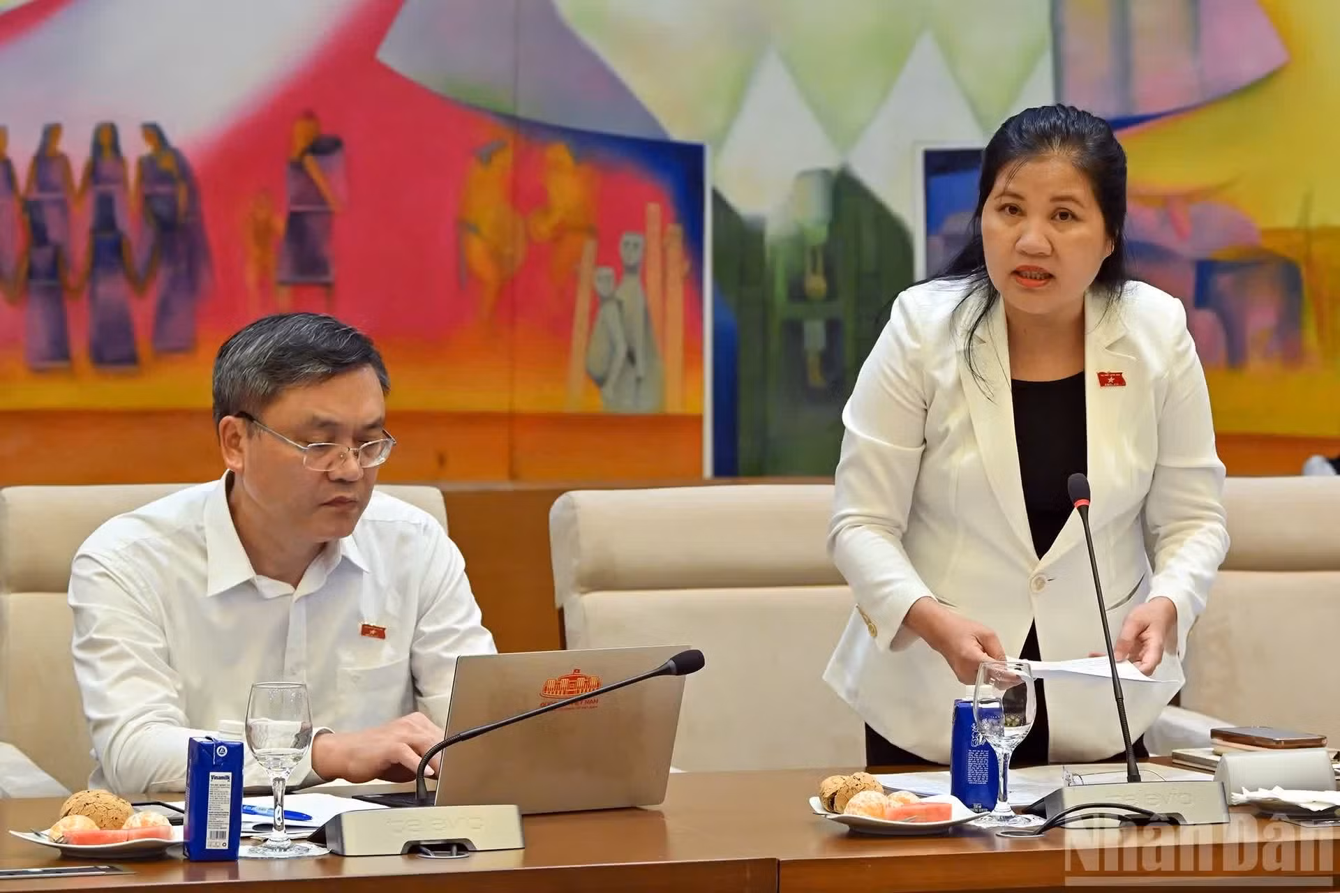 民族委员会副主席丁氏芳兰发表讲话。