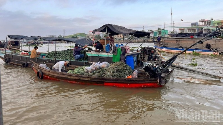 满载着来自芹苴和西南部其他省份的水果和蔬菜的船。