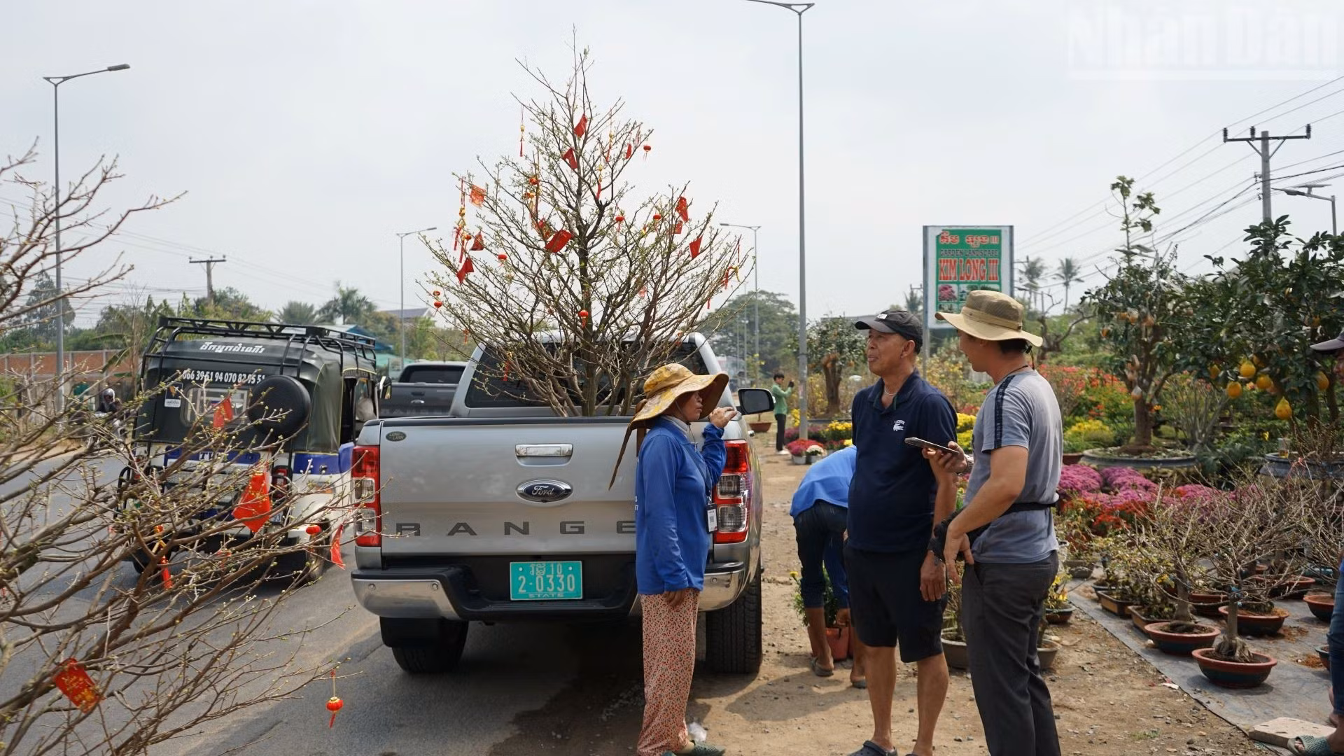 一位店主表示，每年农历新年期间，该地区的商店都会从越南的苗圃进口黄梅花、菊花、桃花、金橘，为旅居柬埔寨越南人提供服务。