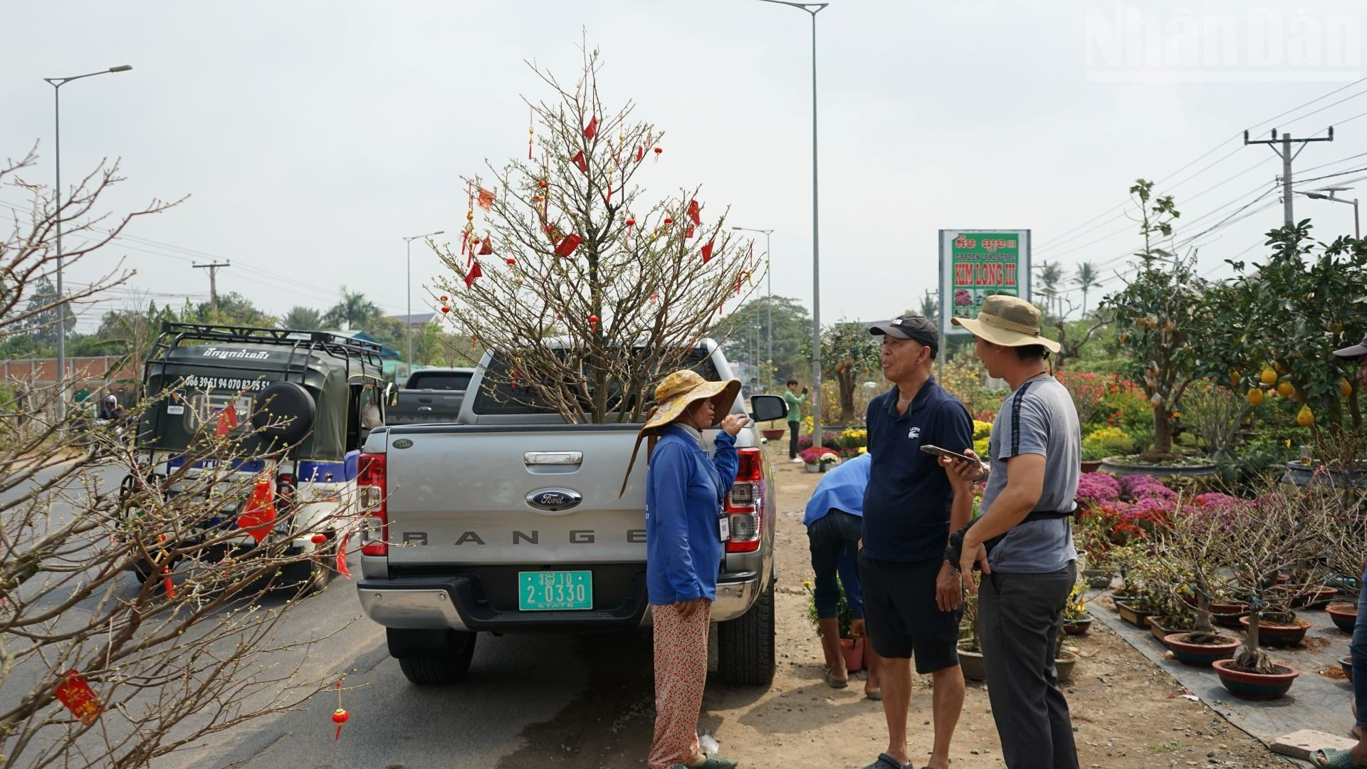 一位店主表示，每年农历新年期间，该地区的商店都会从越南的苗圃进口黄梅花、菊花、桃花、金橘，为旅居柬埔寨越南人提供服务。
