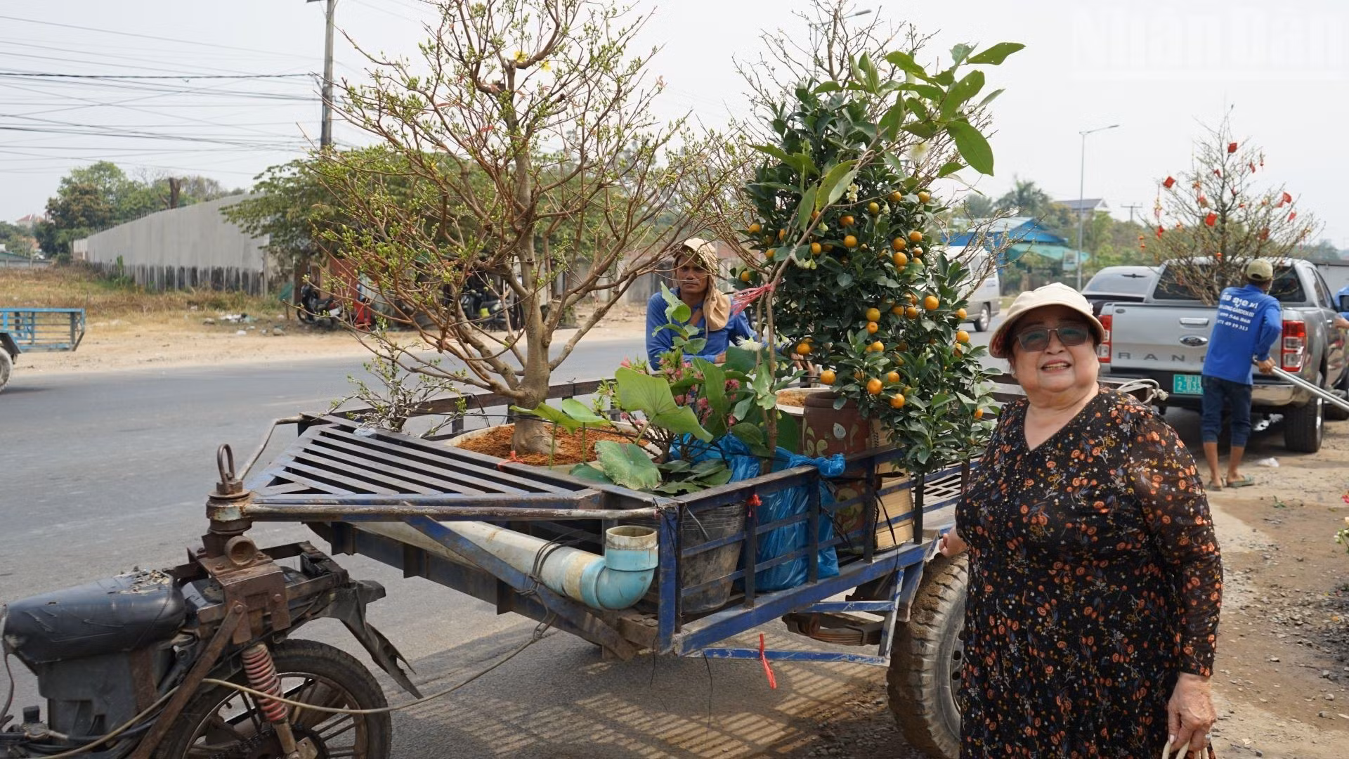 来自金边的一位越桥表示，虽然她在柬埔寨生活了几十年，但每逢农历新年，她都会来这里买花，把家乡的氛围带给家人。