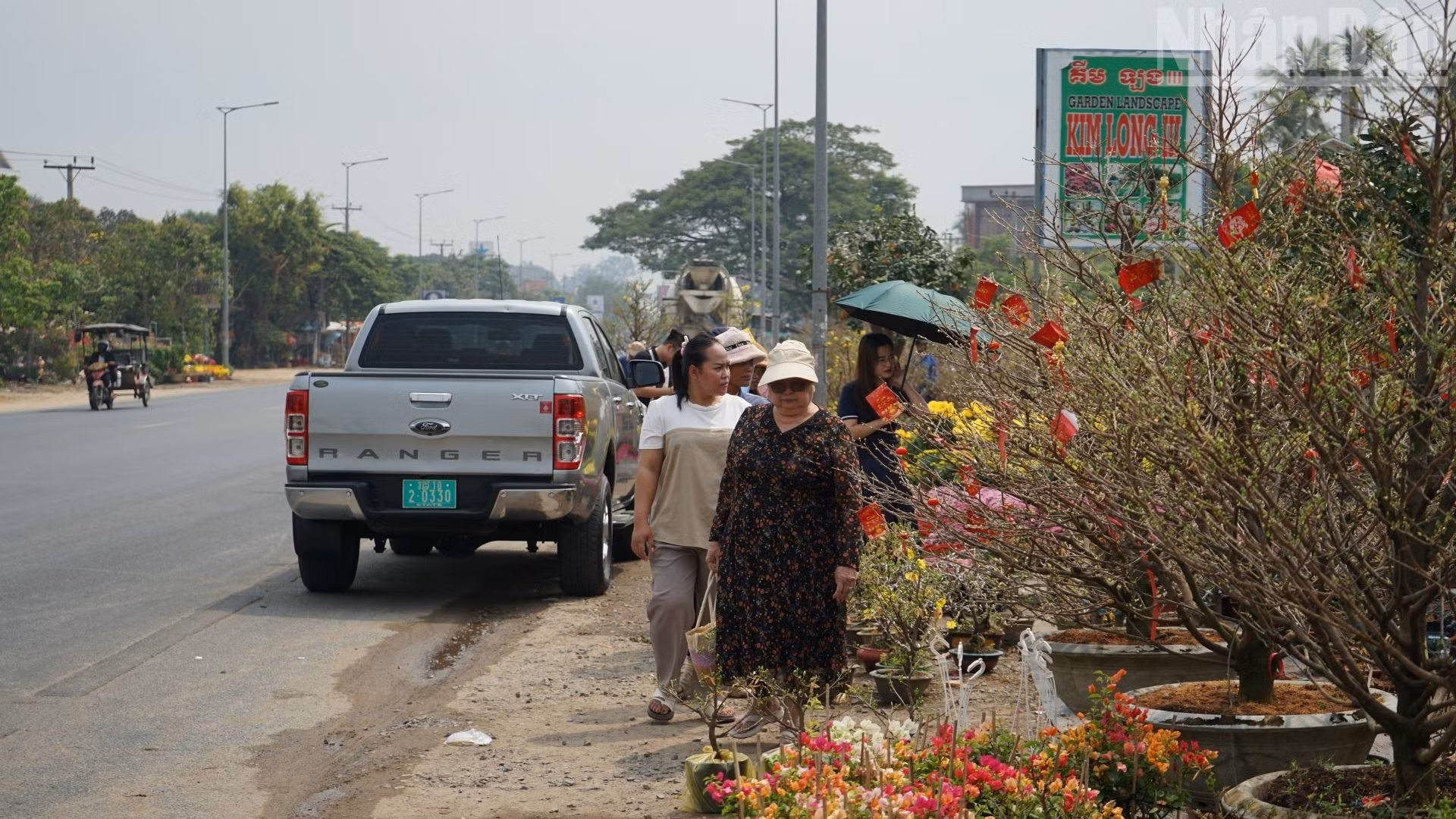 临近春节之际，在柬埔寨干丹省境内、与首都金边接壤的一号公路沿线的花卉盆景店，仿佛“焕然一新”，变成一个个小型春花市场，处处绽放着越南传统色彩的绚丽景象。