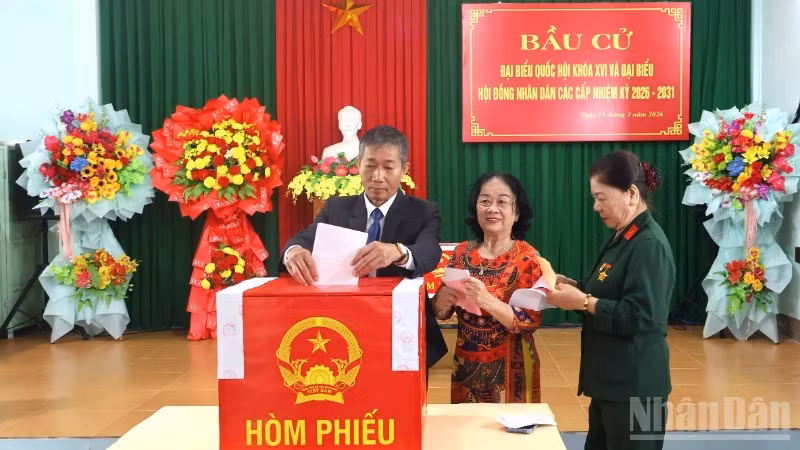 广治省洞海坊选民参加选举投票。