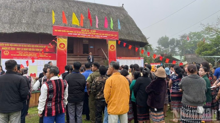 岘港市阿王乡共3550名选民参加选举投票。