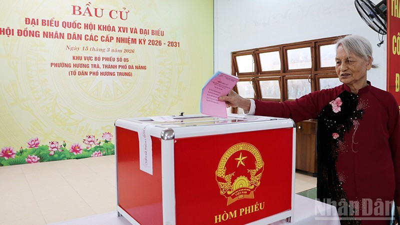 岘港市选民行使选举权，履行公民义务。