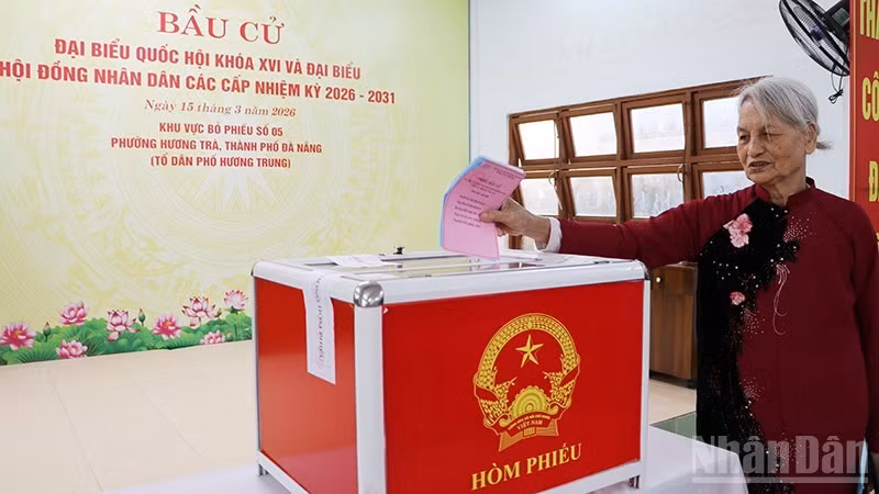 岘港市选民行使选举权，履行公民义务。