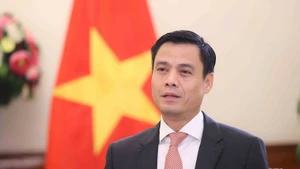 越南外交部副部长邓黄江。（图片来源：越通社）