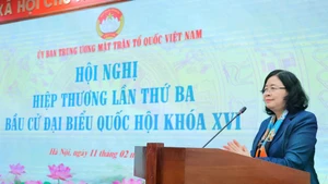 越南祖国阵线中央委员会主席、国家选举委员会副主席裴氏明怀在会议上发表讲话。