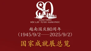 越南国家成就展总览【图表新闻】