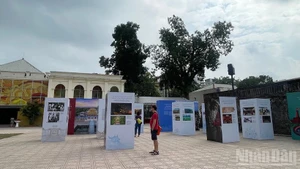 代表们参观“越南文化遗产——从传统到现代的生命力”专题展。