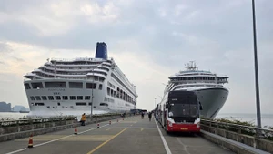 “海之安可号”和“钢琴乐园号”两艘游轮“冲喜”下龙湾。