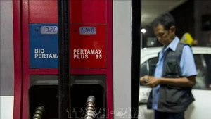 附图。（图片来源：越通社）