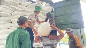 越南铁路公司免费运送1.5万件救灾物资驰援中部以南地区。（图片来源：越通社）