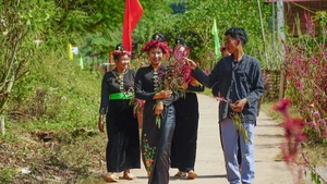 越南极少数民族多分布在条件艰难的山区和边远地区。