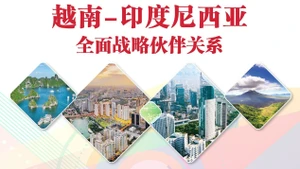 建交70周年：越南-印度尼西亚全面战略伙伴关系【图表新闻】