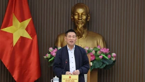 越南政府副总理、国家财政货币政策咨询委员会主席胡德福主持召开委员会会议。