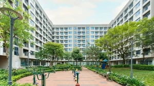 附图：北宁省安丰保障性住房区。