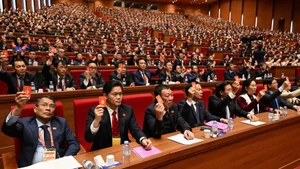 与会大笔进行表决。（陈海 摄）