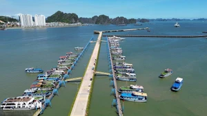 广宁省下龙湾所有旅游船将于8月15日前完成船舶自动识别系统安装。