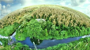 越南利用遥感技术监测与核实森林碳信用额。（图片来源：国家遥感中心）