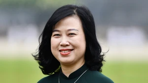 越南卫生部长陶红兰。